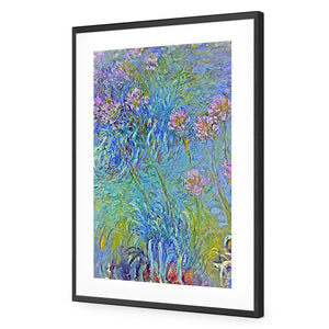Agapanthus by Monet | Standard Acrylic | Flat Frame With Border | Black