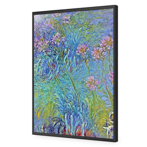 Agapanthus by Monet | Standard Acrylic | Flat Frame No Border | Black