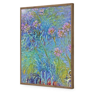 Agapanthus by Monet | Standard Acrylic | Flat Frame No Border | Natural