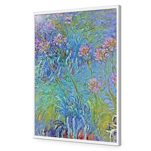 Agapanthus by Monet | Standard Acrylic | Flat Frame No Border | White
