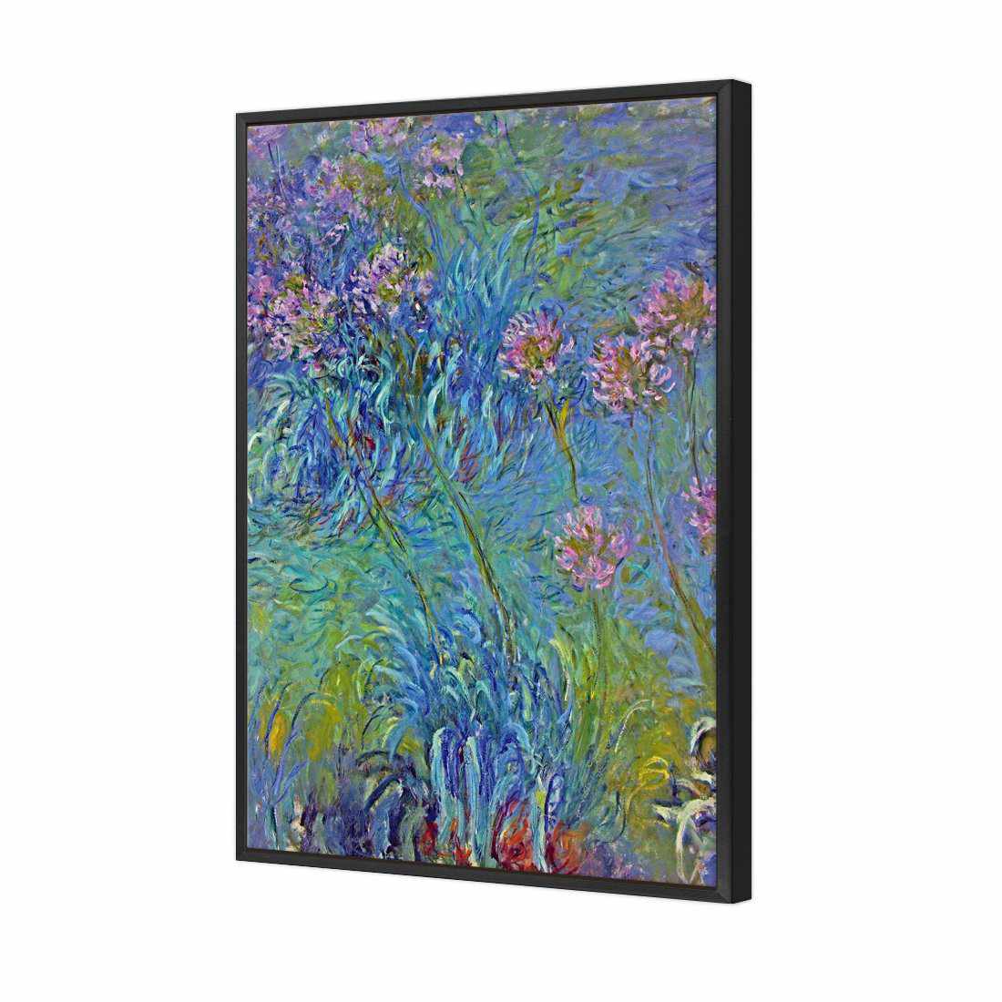 Agapanthus by Monet | Standard Canvas | Floating Frame | Black