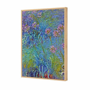 Agapanthus by Monet | Standard Canvas | Floating Frame | Oak