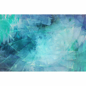 Agave Illusions