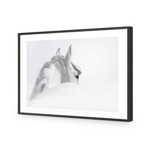 Andalusian Horse In The Mist | Classic Acrylic | Flat Frame With Border | Black