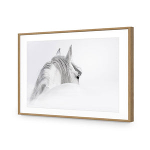 Andalusian Horse In The Mist | Classic Acrylic | Flat Frame With Border | Oak
