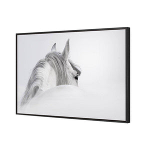 Andalusian Horse In The Mist | Classic Canvas | Floating Frame | Black