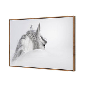 Andalusian Horse In The Mist | Classic Canvas | Floating Frame | Natural