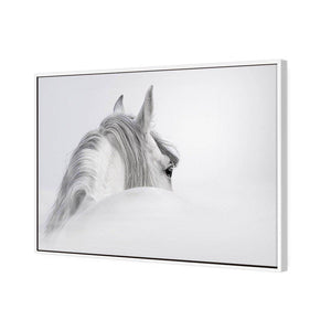 Andalusian Horse In The Mist | Classic Canvas | Floating Frame | White