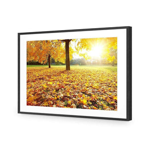 Autumn Sunshine | Classic Acrylic | Flat Frame With Border | Black