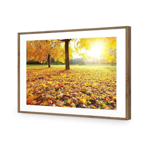 Autumn Sunshine | Classic Acrylic | Flat Frame With Border | Natural