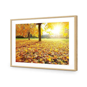 Autumn Sunshine | Classic Acrylic | Flat Frame With Border | Oak