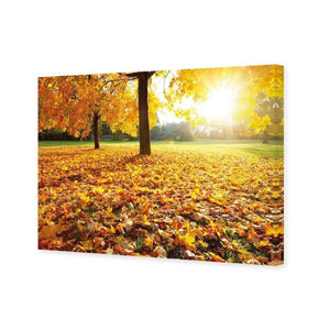 Autumn Sunshine | Classic Canvas | No Frame | Stretched Canvas