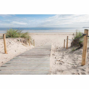 Beach Path