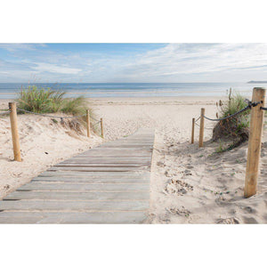 Beach Path