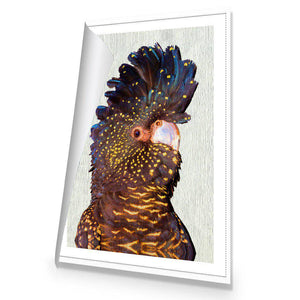 Black Cockatoo Front, Paper | Standard Canvas | No Frame | Rolled Canvas