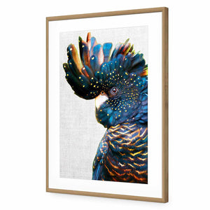 Black Cockatoo Side, Linen | Classic Acrylic | Flat Frame With Border | Oak