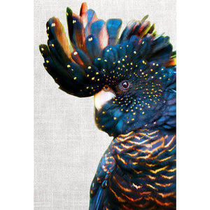 Black Cockatoo Side, Linen
