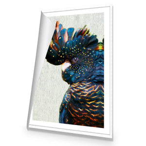 Black Cockatoo Side, Paper | Standard Canvas | No Frame | Rolled Canvas