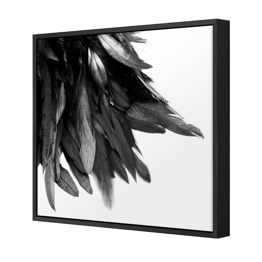 Black Feather Tail, B&W | Standard Canvas | Floating Frame | Black