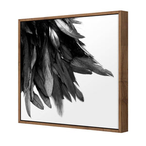 Black Feather Tail, B&W | Standard Canvas | Floating Frame | Natural