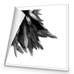 Black Feather Tail, B&W | Standard Canvas | No Frame | Rolled Canvas