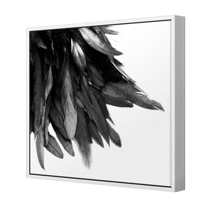 Black Feather Tail, B&W | Standard Canvas | Floating Frame | White
