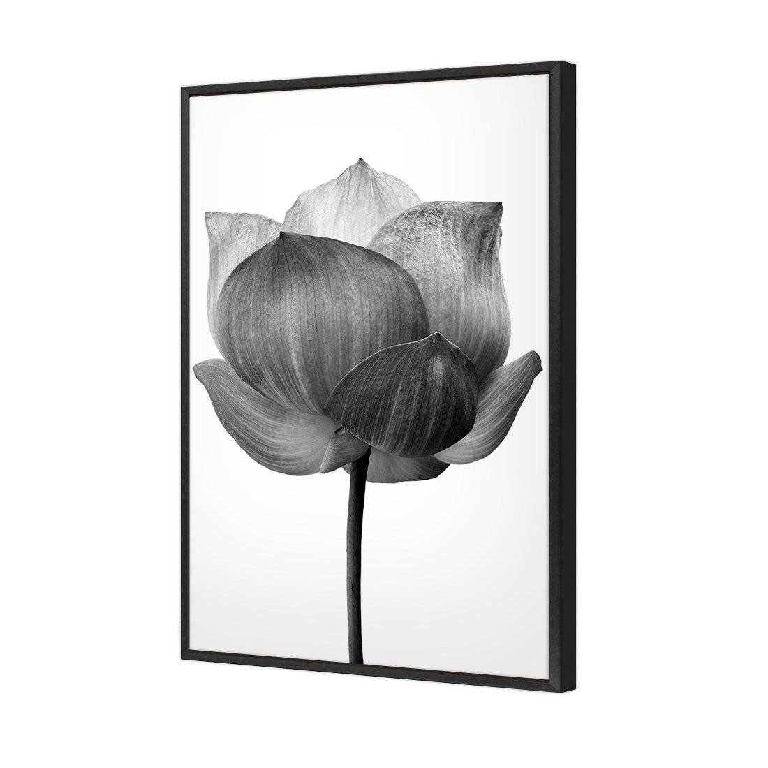 Black Lotus | Standard Canvas | Floating Frame | Black