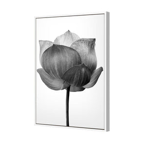 Black Lotus | Standard Canvas | Floating Frame | White
