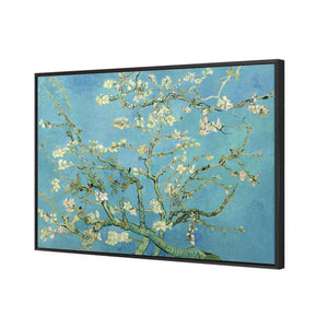 Blossoming Almond Tree by Van Gogh | Standard Canvas | Floating Frame | Black