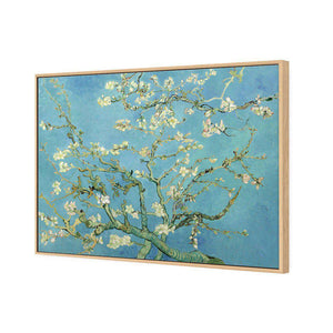 Blossoming Almond Tree by Van Gogh | Standard Canvas | Floating Frame | Oak