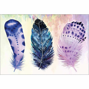 Boho Feathers