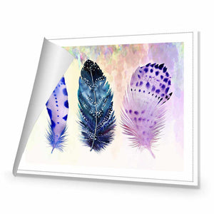 Boho Feathers | Standard Canvas | No Frame | Rolled Canvas