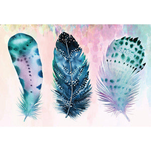 Boho Feathers, Rainbow