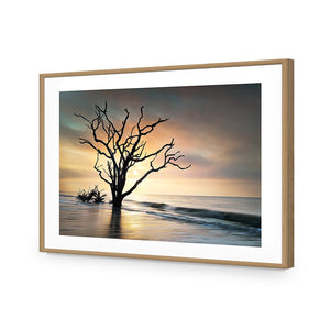 Botany Bay Sunrise | Standard Acrylic | Flat Frame With Border | Oak