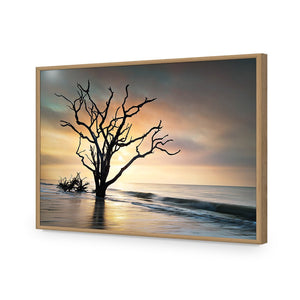 Botany Bay Sunrise | Standard Acrylic | Flat Frame No Border | Oak