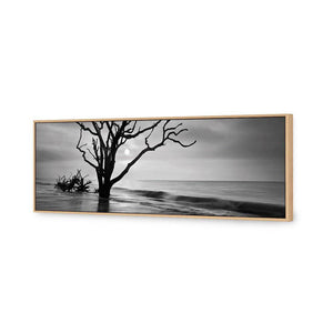 Botany Bay Sunrise, B&W | Standard Canvas | No Frame | Rolled Canvas