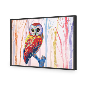 Bright Wise Owl, Light | Standard Acrylic | Flat Frame No Border | Black