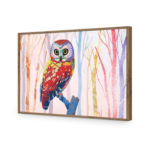 Bright Wise Owl, Light | Standard Acrylic | Flat Frame No Border | Natural