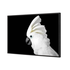 Cassie the Cockatoo | Standard Canvas | Floating Frame | Black