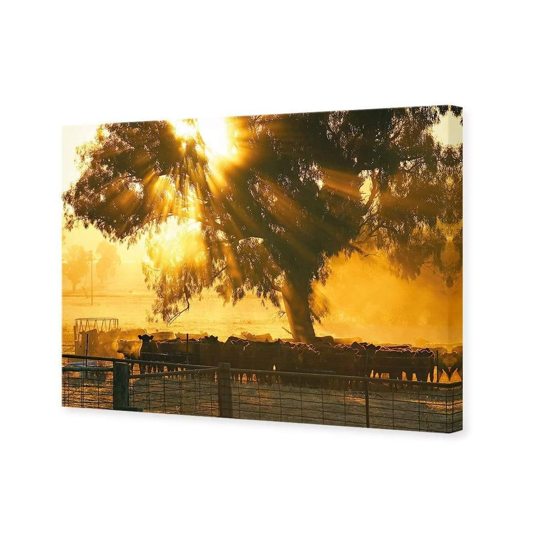 Cattle Ranch | Classic Canvas | No Frame | Stretched Canvas