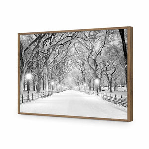 Central Park Dawn in Snow | Classic Acrylic | Flat Frame No Border | Natural