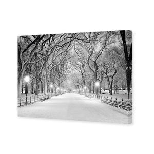 Central Park Dawn in Snow | Classic Canvas | No Frame | Stretched Canvas