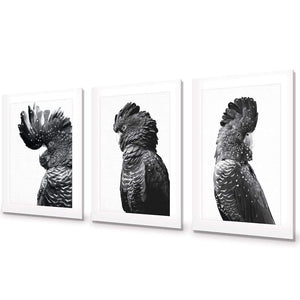 Cockatoos Trio, B&W Art Set | Classic Acrylic | No Frame With Border