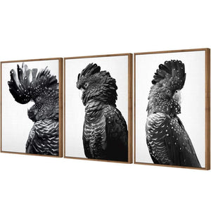 Cockatoos Trio, B&W Art Set | Classic Canvas | Floating Frame | Natural