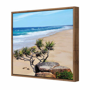 Coolum Beach, Square | Classic Canvas | Floating Frame | Natural