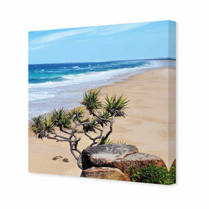 Coolum Beach, Square | Classic Canvas | No Frame | Stretched Canvas