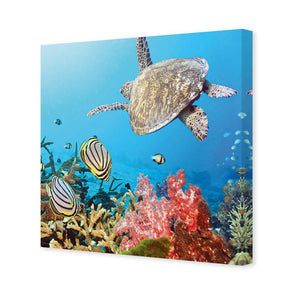 Coral Sea, Square | Standard Canvas | No Frame | Stretched Canvas