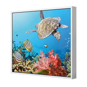 Coral Sea, Square | Standard Canvas | Floating Frame | White