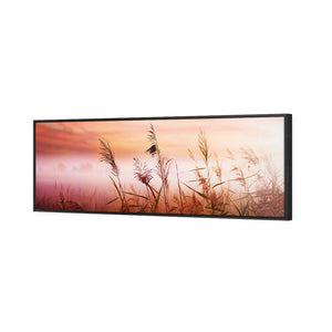 Corn Dusk | Standard Canvas | Floating Frame | Black