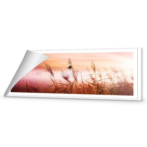 Corn Dusk | Standard Canvas | No Frame | Rolled Canvas
